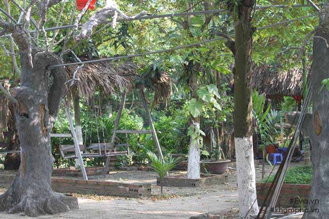 Chiêm ngưỡng nhà vườn 10.000m2 mà Giang “còi” quyết không bán để mua chung cư nội đô - 6