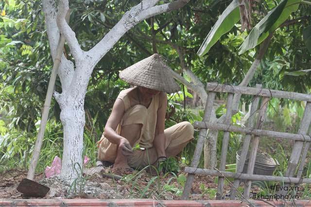 Chiêm ngưỡng nhà vườn 10.000m2 mà Giang “còi” quyết không bán để mua chung cư nội đô - 10