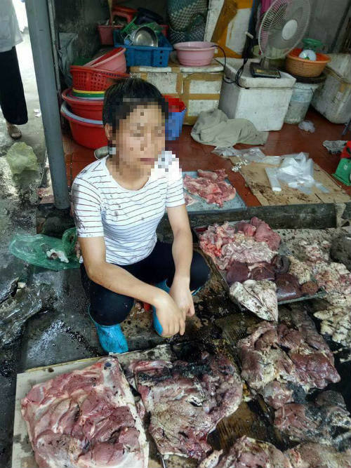 Đàn lợn nhà chị Xuyến bị hắt dầu luyn trộn chất thải đã được thu mua toàn bộ - 1