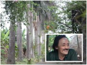 Nhà đẹp - Chiêm ngưỡng nhà vườn 10.000m2 mà Giang “còi” quyết không bán để mua chung cư nội đô