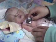 Tin tức - Bé sơ sinh bị gia đình chôn sống ở nơi hoang vắng được cứu sống nhờ... một chú chó