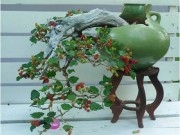 Nhà đẹp - Trồng cây vừa để làm cảnh, vừa lấy trái ngon ăn suốt mùa: còn gì vui thú hơn?