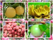 Bếp Eva - Chọn ăn những trái cây này, mẹ Việt yên tâm về nguồn gốc xuất xứ