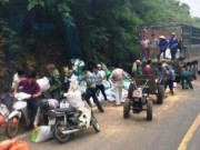 Tin tức - Phẫn nộ cảnh người dân mang cả công nông đi "hôi của" sau tai nạn làm chết 2 người