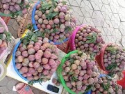 Mua sắm - Giá cả - 5.000 đồng/ quả mận vẫn bán cháy hàng
