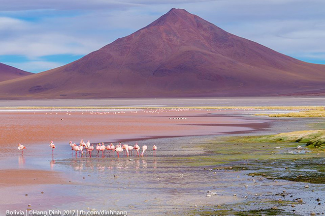 Bolivia - Đất nước amp;#34;đẹp không thở nổiamp;#34;, một khi đã đến, cả đời không quên - 1