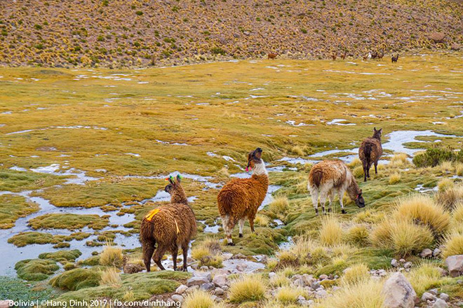 Bolivia - Đất nước amp;#34;đẹp không thở nổiamp;#34;, một khi đã đến, cả đời không quên - 12
