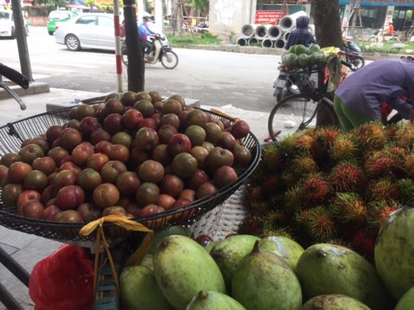 Mua tại vườn chỉ 9 nghìn/kg nhưng mận hậu Mộc Châu vẫn có giá “chát” ở Hà Nội - 1