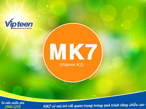 Vai trò MK7 đối với việc tăng chiều cao nhanh của lứa tuổi dậy thì - 1