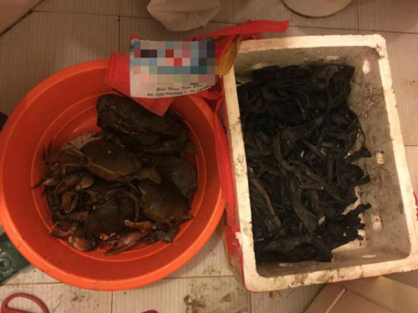 Khóc thét, mua 10kg cua biển ‘ăn’ 6kg dây buộc bằng vải xốp ngâm bùn - 4