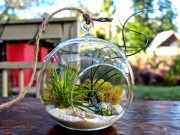 Nhà đẹp - Rảnh tay làm ngay vườn cây mini đẹp “hút hồn”, trang trí nhà xanh mát