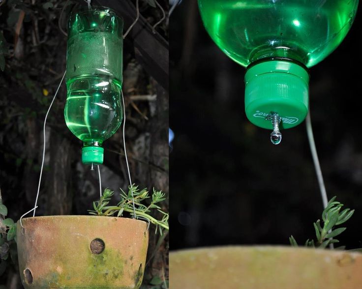 Chai nhựa bỏ đi mà có đủ loại công dụng thần kì thế này trong vườn - 9