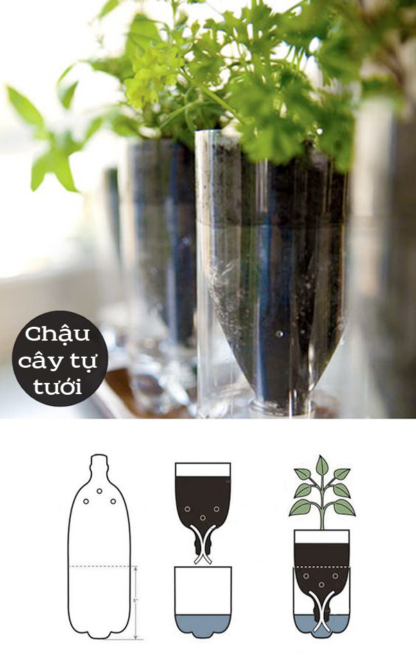 Chai nhựa bỏ đi mà có đủ loại công dụng thần kì thế này trong vườn - 1
