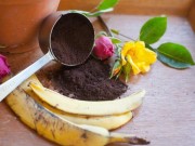 Nhà đẹp - Đây là lí do nhiều người hay "tích trữ" vỏ chuối lại sau khi ăn