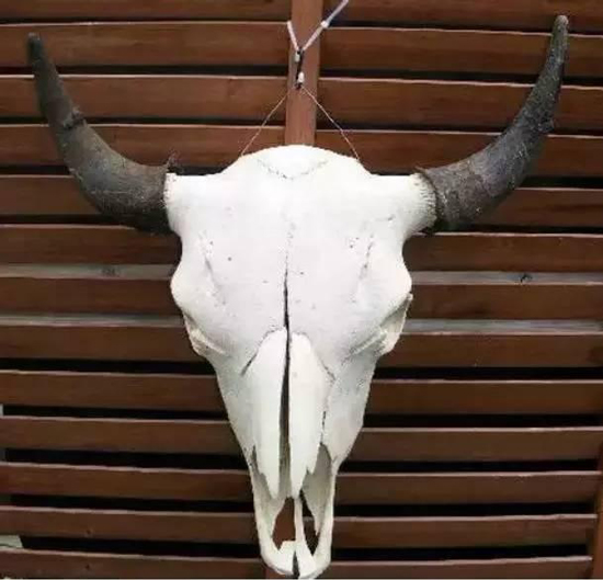 Những loại amp;#34;tà vậtamp;#34; nhà nào cũng có, không cẩn thận rước họa như chơi - 3