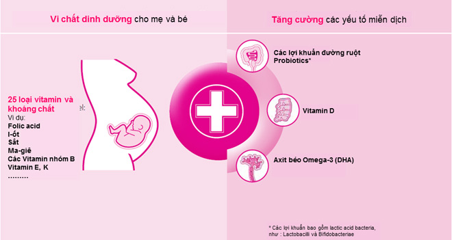 Orthomol Natal – Bí quyết tăng cường sức đề kháng cho mẹ và bé của mẹ bầu tại Đức - 1