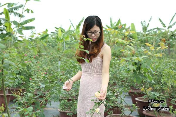 Vườn hồng amp;#34;khủngamp;#34; nhiều gốc quý của cô gái 9X học kinh tế đi làm nông dân - 1