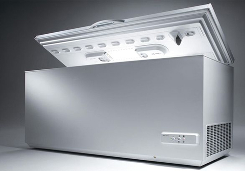 Con gái giấu xác mẹ trong tủ đông suốt 10 năm để làm việc khiến nhiều người căm phẫn - 1