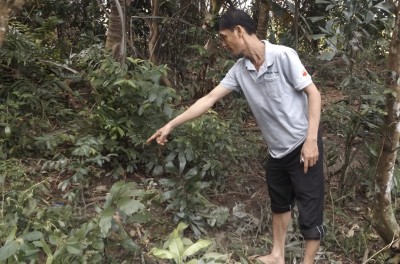 Nghi phạm sát hại người phụ nữ, phi tang xác khai gì? - 1