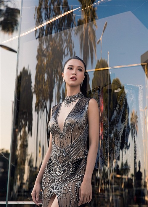 Lý Nhã Kỳ sẵn sàng gặp gỡ Vũ Ngọc Anh sau ồn ào nghi ngờ lấy vé tại Cannes - 2