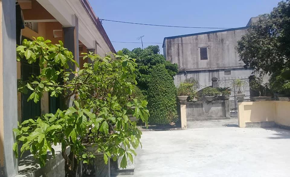 Nắng nóng kỷ lục, trứng rán không cần lửa, chuối cũng chín cháy - 12