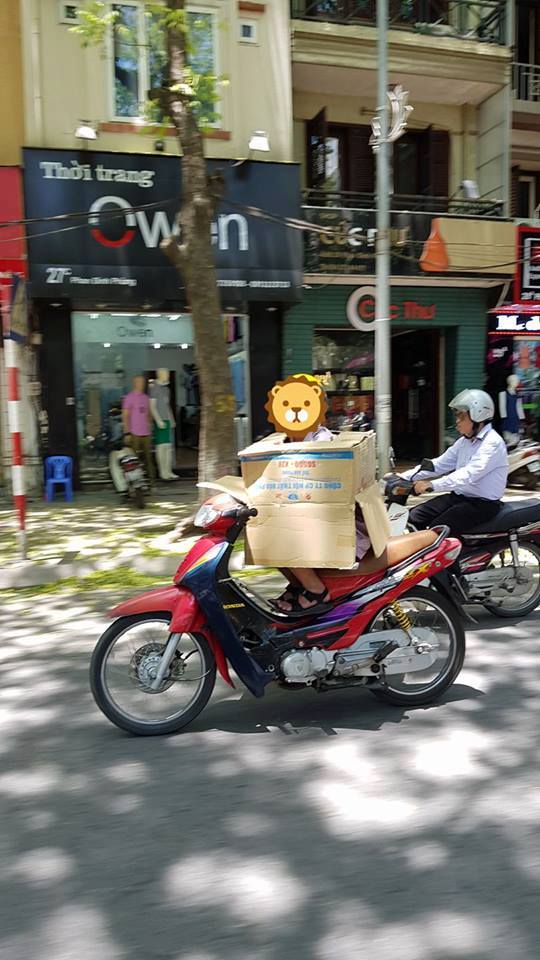 Nắng nóng kỷ lục, trứng rán không cần lửa, chuối cũng chín cháy - 5