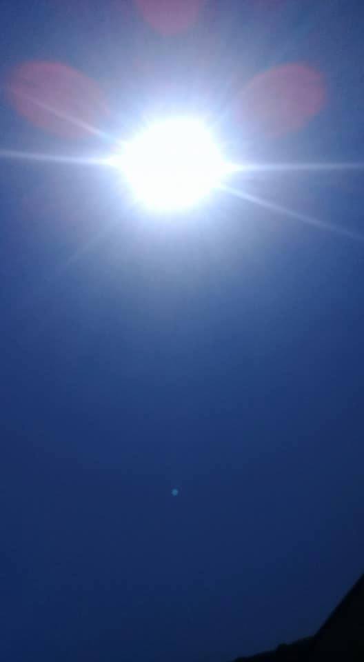 Nắng nóng kỷ lục, trứng rán không cần lửa, chuối cũng chín cháy - 13