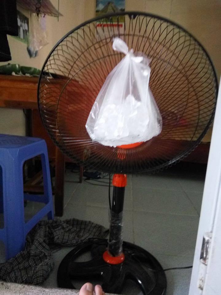 Nắng nóng kỷ lục, trứng rán không cần lửa, chuối cũng chín cháy - 8