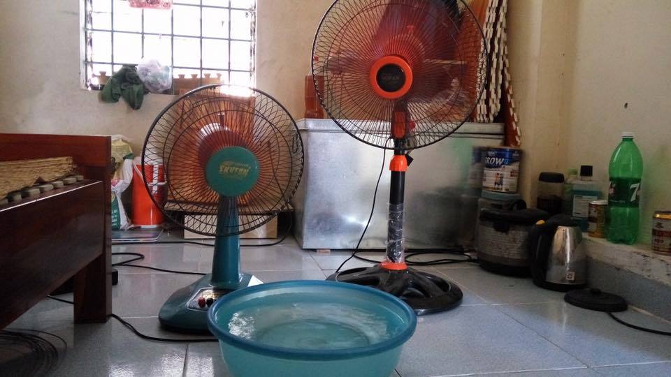 Nắng nóng kỷ lục, trứng rán không cần lửa, chuối cũng chín cháy - 9