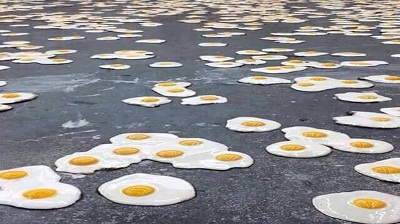 Nắng nóng kỷ lục, trứng rán không cần lửa, chuối cũng chín cháy - 7