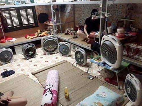 Muôn cách chống nóng amp;#34;bá đạoamp;#34; chỉ có ở Việt Nam - 15