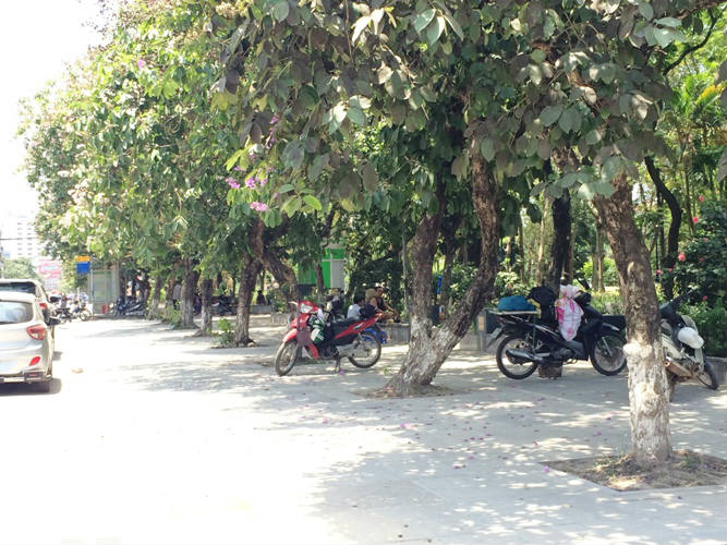 “Chốn yên bình” tại Hà Nội trong đợt nắng nóng kỉ lục suốt 45 năm qua - 5