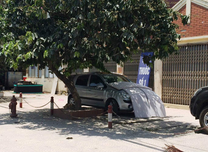 “Chốn yên bình” tại Hà Nội trong đợt nắng nóng kỉ lục suốt 45 năm qua - 3