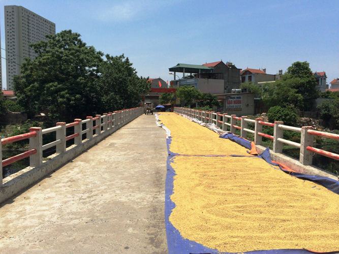 “Chốn yên bình” tại Hà Nội trong đợt nắng nóng kỉ lục suốt 45 năm qua - 7