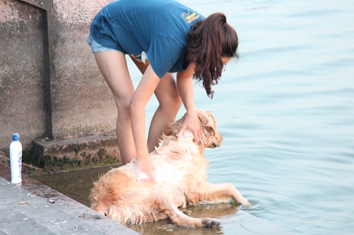 Nắng nóng trên 41 độ, bố mẹ ôm con ra Hồ Tây amp;#34;đằmamp;#34; mình dưới nước - 2