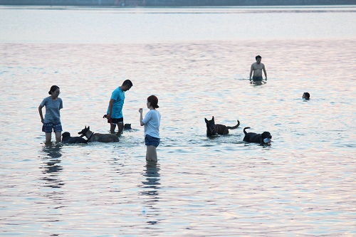 Nắng nóng trên 41 độ, bố mẹ ôm con ra Hồ Tây amp;#34;đằmamp;#34; mình dưới nước - 3