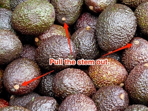 Mẹo bảo quản và sử dụng quả bơ hữu ích nhất mà bạn cần biết - 4