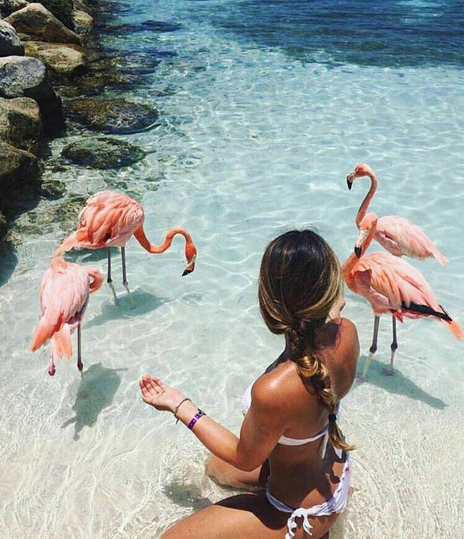Nắng nóng kỷ lục, cùng đến thiên đường hồng hạc Aruba để tận hưởng ngay thôi - 2