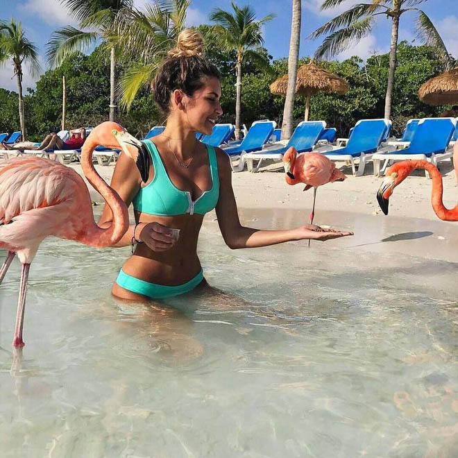 Nắng nóng kỷ lục, cùng đến thiên đường hồng hạc Aruba để tận hưởng ngay thôi - 3