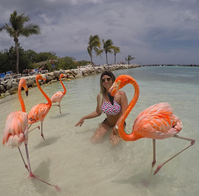 Nắng nóng kỷ lục, cùng đến thiên đường hồng hạc Aruba để tận hưởng ngay thôi - 10