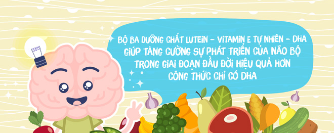 DHA hoạt động tốt hơn khi có Lutein và Vitamin E tự nhiên - 1