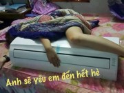 Tin tức - Nắng nóng "muốn phát điên" nhưng ai xem loạt ảnh chế này cũng phải... cười rụng rốn