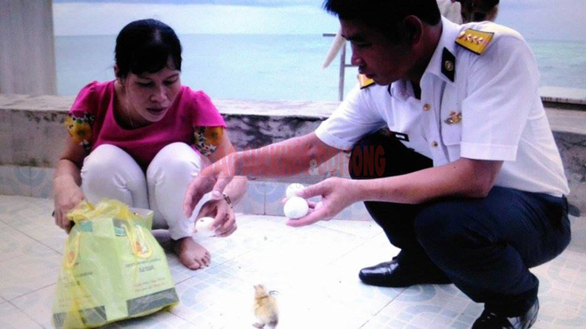 Mua trứng cút lộn trong ngày nắng nóng, cô gái 15 tuổi bỗng amp;#34;làm mẹamp;#34; bất đắc dĩ - 5