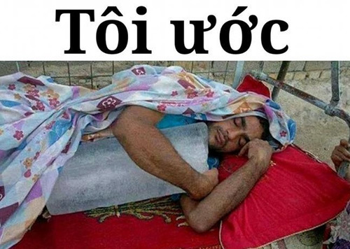 Nắng nóng amp;#34;muốn phát điênamp;#34; nhưng ai xem loạt ảnh chế này cũng phải... cười rụng rốn - 9