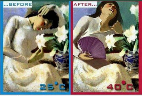 Nắng nóng amp;#34;muốn phát điênamp;#34; nhưng ai xem loạt ảnh chế này cũng phải... cười rụng rốn - 12