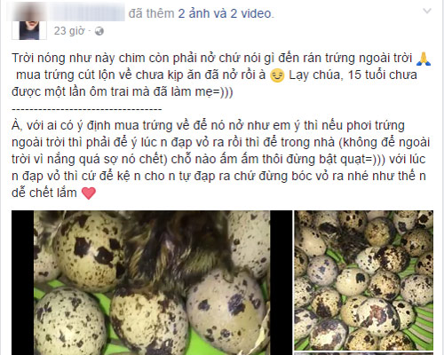 Mua trứng cút lộn trong ngày nắng nóng, cô gái 15 tuổi bỗng amp;#34;làm mẹamp;#34; bất đắc dĩ - 1