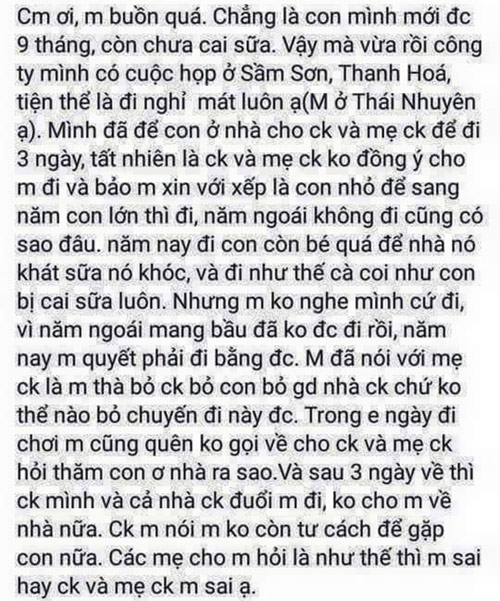Xôn xao mẹ bỉm sữa bỏ con 9 tháng đi du lịch cùng công ty, lúc về bị chồng đuổi ra khỏi nhà - 1