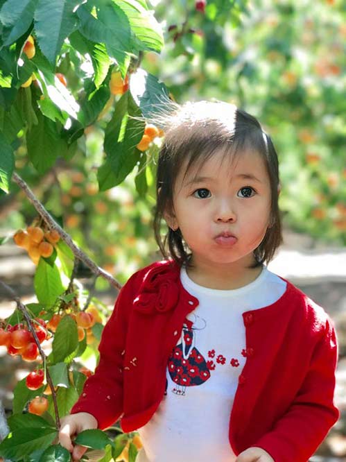 Đáng yêu  hết cỡ khi thấy con gái Hà Kiều Anh ăn cherry phùng má trợn mắt, no căng cả bụng - 7