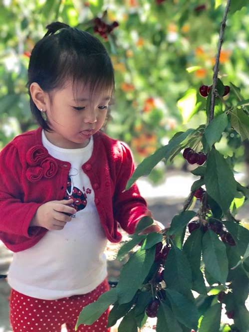 Đáng yêu  hết cỡ khi thấy con gái Hà Kiều Anh ăn cherry phùng má trợn mắt, no căng cả bụng - 5