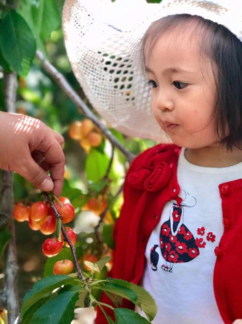 Đáng yêu  hết cỡ khi thấy con gái Hà Kiều Anh ăn cherry phùng má trợn mắt, no căng cả bụng - 3